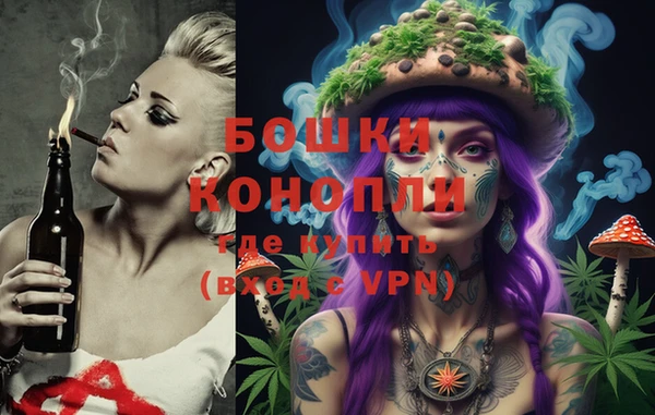 ПСИЛОЦИБИНОВЫЕ ГРИБЫ Балахна