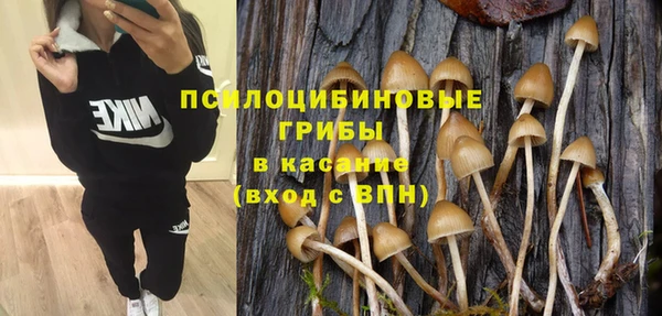 ПСИЛОЦИБИНОВЫЕ ГРИБЫ Балахна
