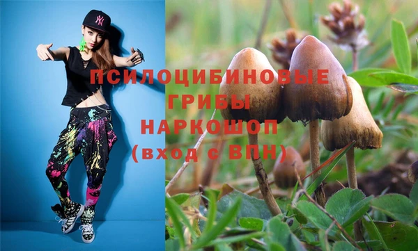 ПСИЛОЦИБИНОВЫЕ ГРИБЫ Балахна