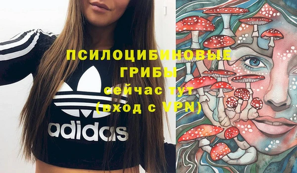 ПСИЛОЦИБИНОВЫЕ ГРИБЫ Балахна