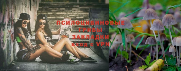 ПСИЛОЦИБИНОВЫЕ ГРИБЫ Балахна