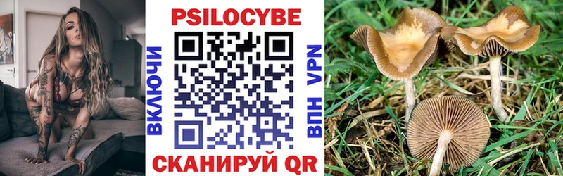 Псилоцибиновые грибы MAGIC MUSHROOMS  OMG ссылка  Сергач 